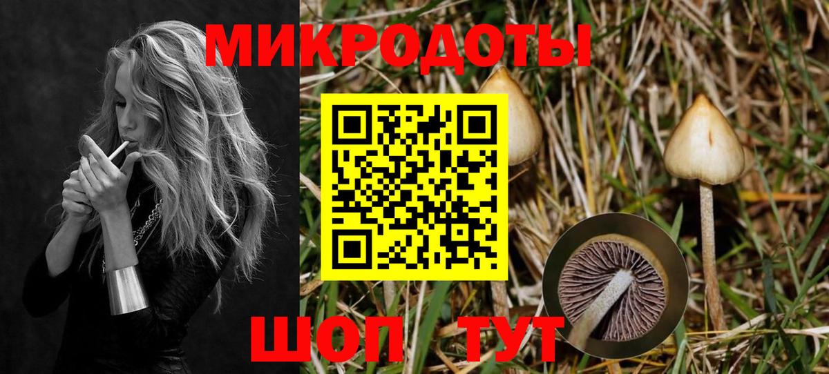 Реж  даркнет сайт  Вход с VPN  Галлюциногенные грибы Cubensis  Псилоцибиновые грибы прущие грибы 
